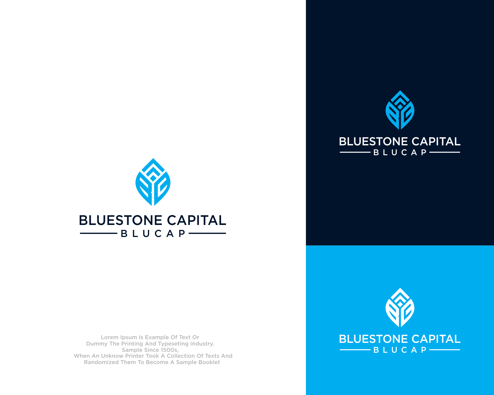 Logo Design for Bluestone Capital