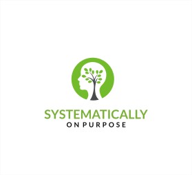 Systematically on Purpose entry by Anslee Williams