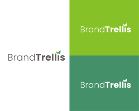 BrandTrellis entry by firmaan.m