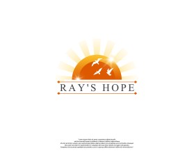 Ray's Hope entry by plexdesign