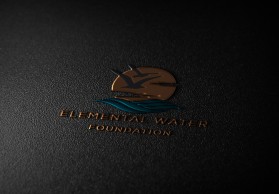Elemental Water Foundation entry by alamin112233