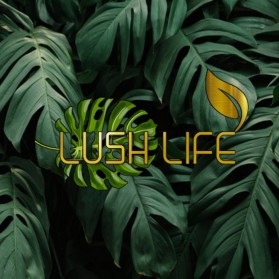 Lush Life entry by Adiart123