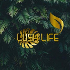 Lush Life entry by Adiart123