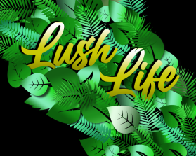 Lush Life entry by KiesJouwStijl