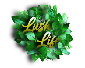Lush Life entry by KiesJouwStijl