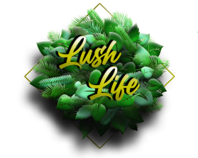 Lush Life entry by KiesJouwStijl