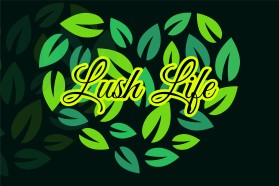 Lush Life entry by Royalx