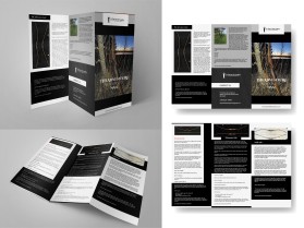St. Patrick Lake Longbows entry by omart studio