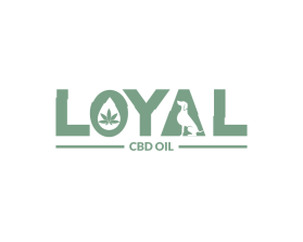 Loyal entry by Fadil ifani