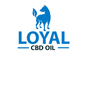 Loyal entry by LAKHAN GOYAL