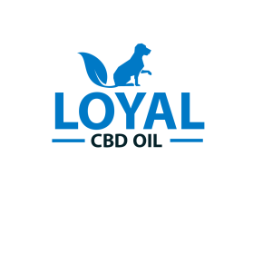 Loyal entry by LAKHAN GOYAL
