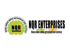 NQR Enterprises entry by Fardiansyah Reza  Pahlevi