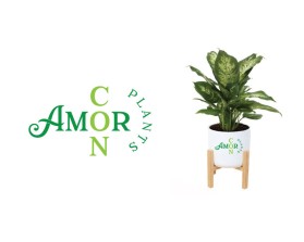 Con Amor  entry by nsdhyd