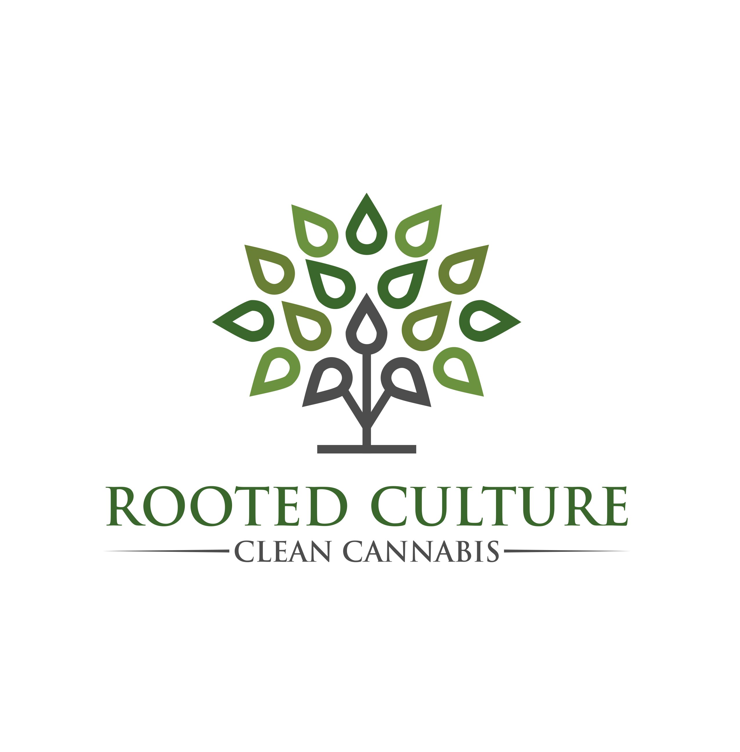 Logo Design for Rooted Culture