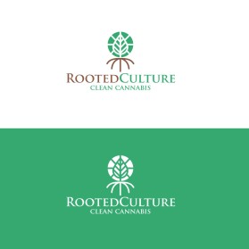 Rooted Culture entry by mahnoor809@gmail.com