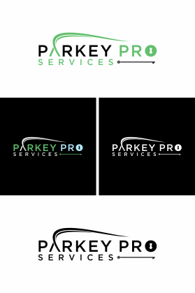 Parkey Pro Services entry by uji