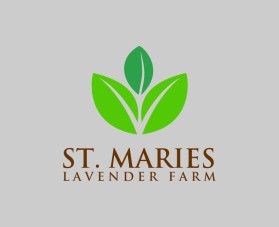 St. Maries Lavender Farm entry by mustafin