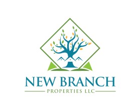New Branch Properties LLC entry by Amit Kumar
