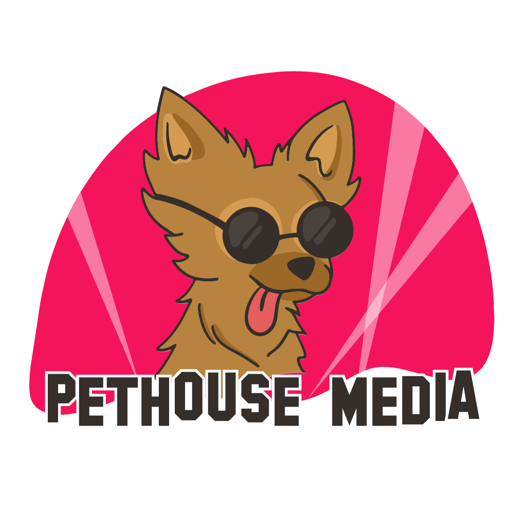 portfolio-img