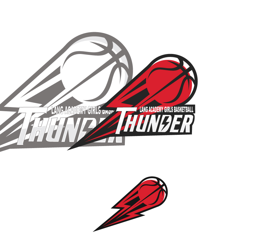 Flying Basketball Logo