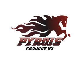 Pyrois entry by CanopeeDesigns