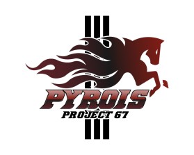 Pyrois entry by CanopeeDesigns