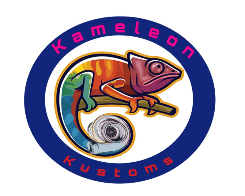 Rainbow Chameleon Logo