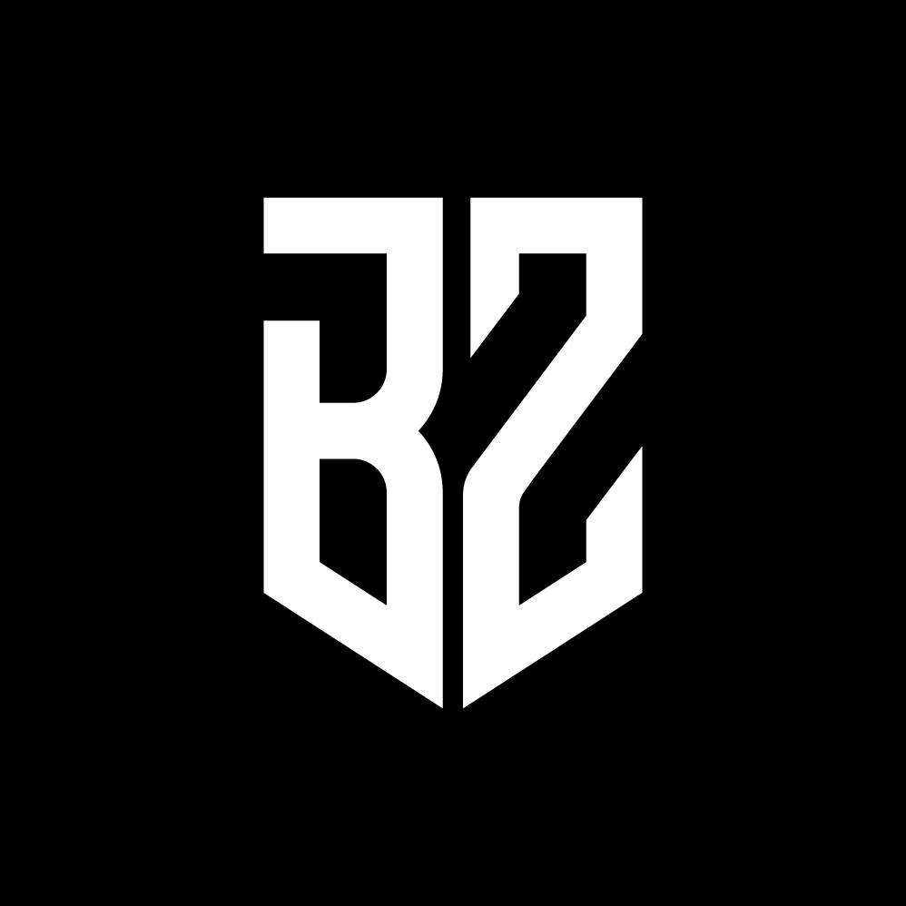 bzdesign2024 profile picture