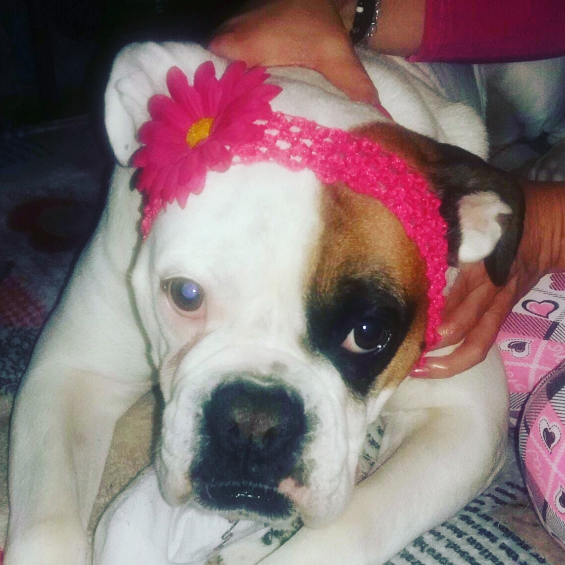 artidesign Profile Picture