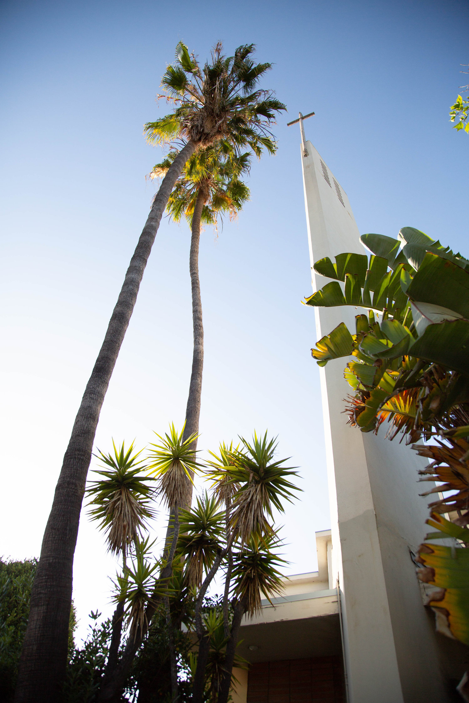 yusuflogo81 Profile Picture